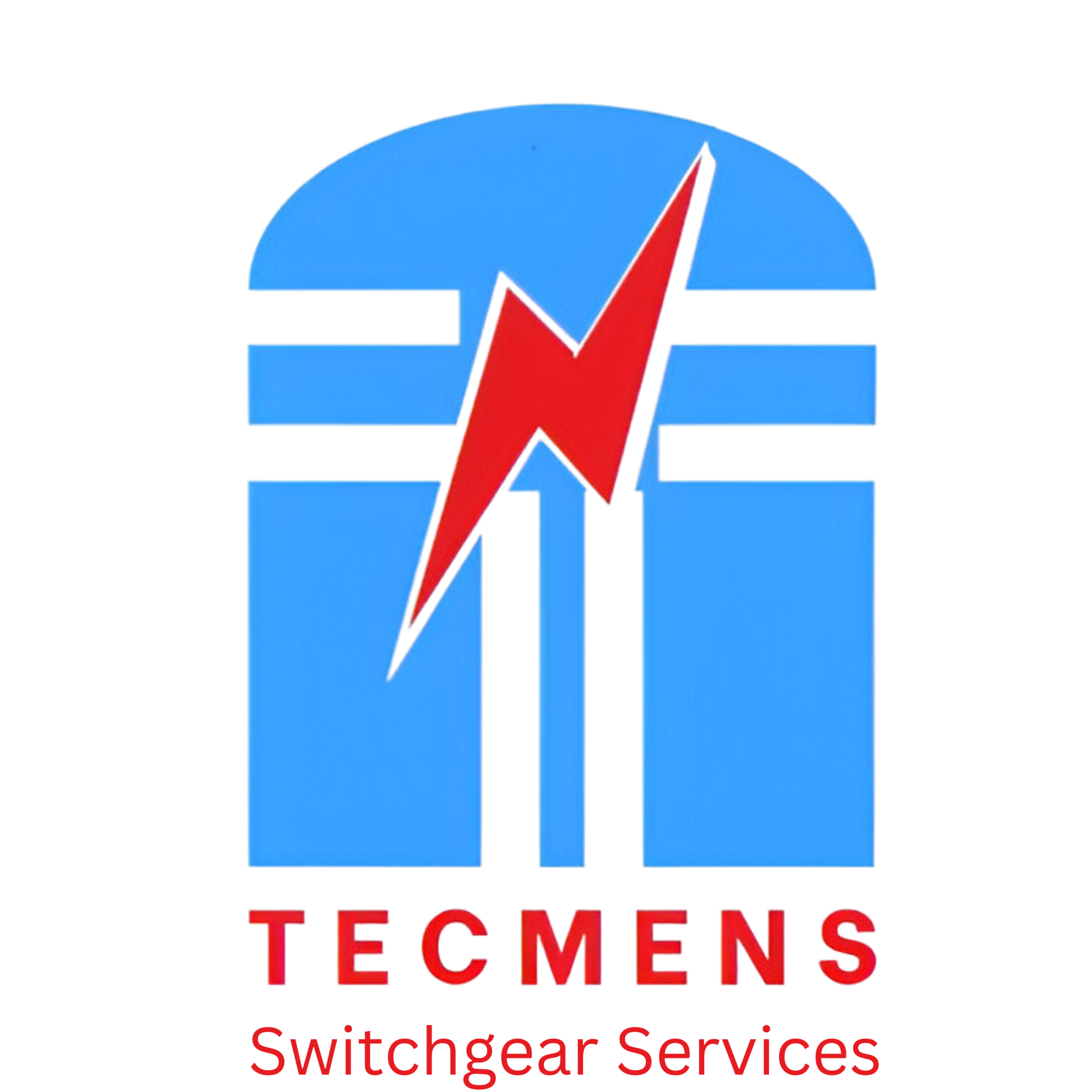 TECMENS Logo